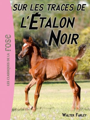 cover image of L'Etalon Noir 07--Sur les traces de l'Étalon Noir